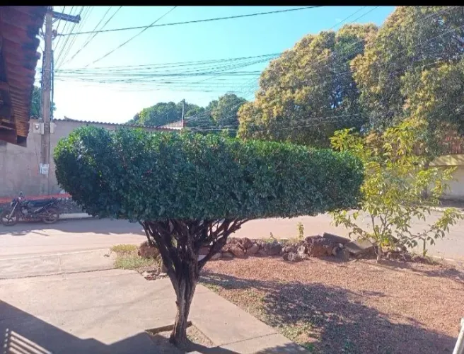 Jardinagem, Poda de árvores, Roçadeira, Jardinagem Geral