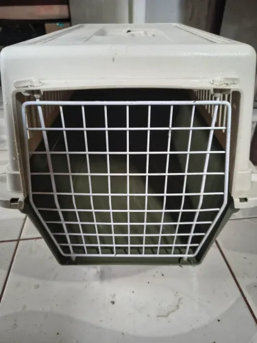 Caixa de trasporte para pet