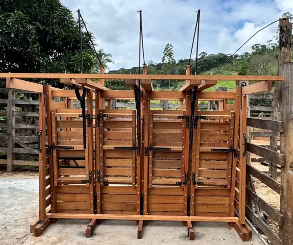 Tronco para bovino