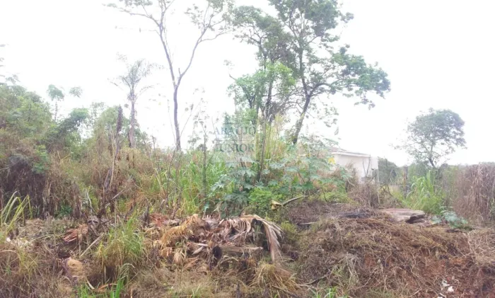 ÁREA PARA VENDA NO TANCREDI EM AMERICANA