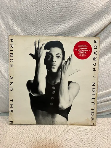Vinil Prince - Parede