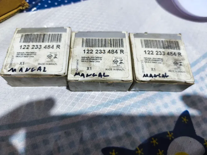 Bronzina de mancal e bomba de óleo Renault.