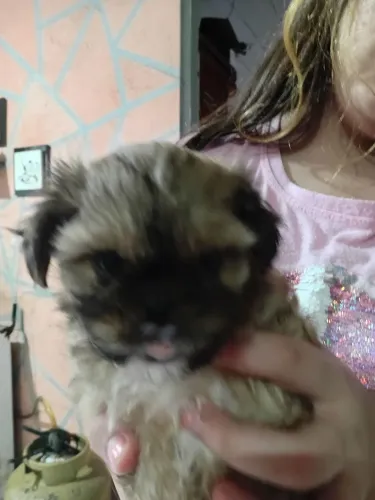 Vendo chitsu micro