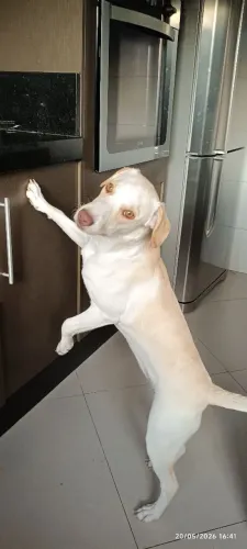 Doação