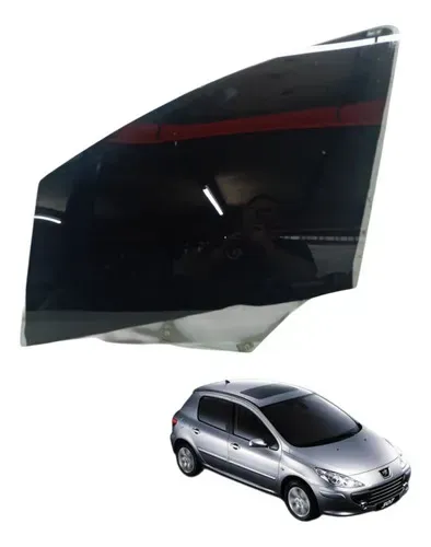 Vidro Porta Traseira Esquerda Peugeot 307 2.0 2008 2009 2010