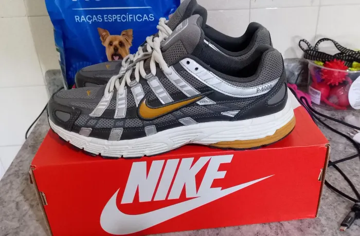 Nike P6000 41