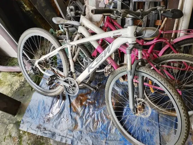 Bicicleta
