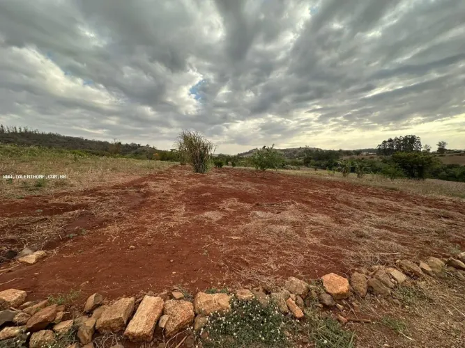 Terreno para Venda em Londrina, Selva