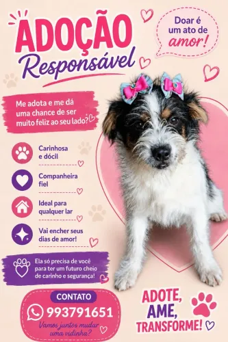Adoção de pets