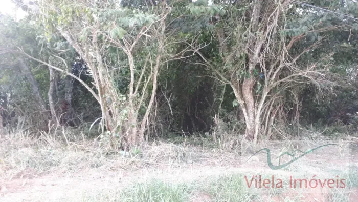 Terreno Residencial de Loteamento em Lagoinha - Miguel Pereira