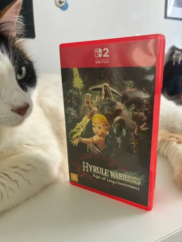 Hyrule Warriors Age Of Imprisonment Switch 2 Midia Fisica