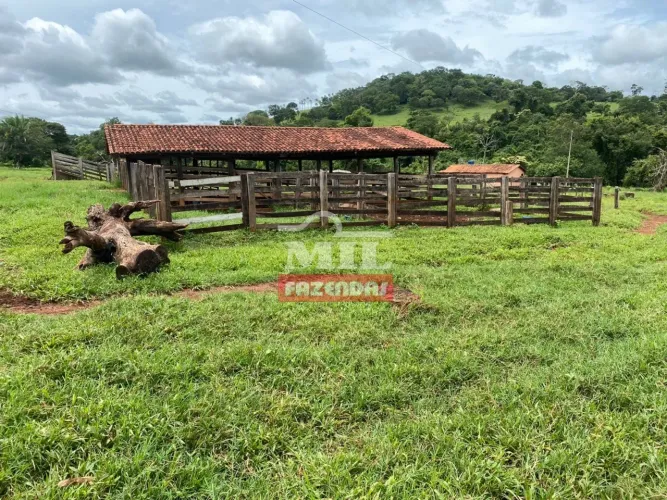 Fazenda 20 alqueires ( 96,80 hectares ) Petrolina de Goiás