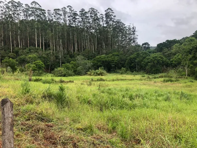 Chácara plana 100% - Jacareí próx Santa Branca