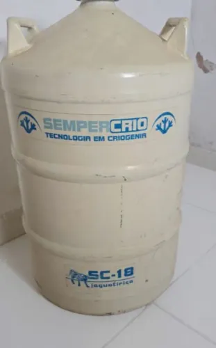 Botijão 