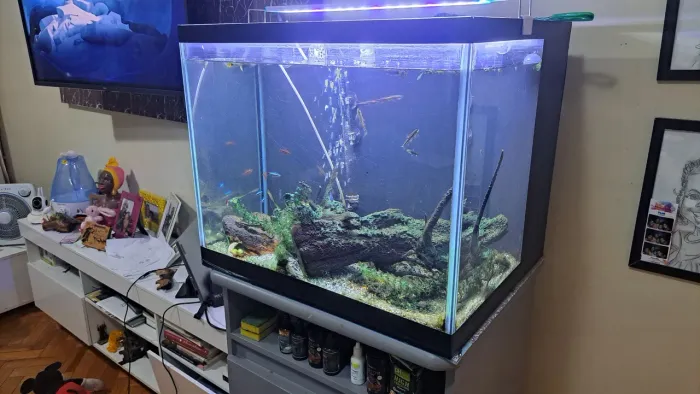 Aquário 150 Litros + Balcão + Acessórios + Peixes