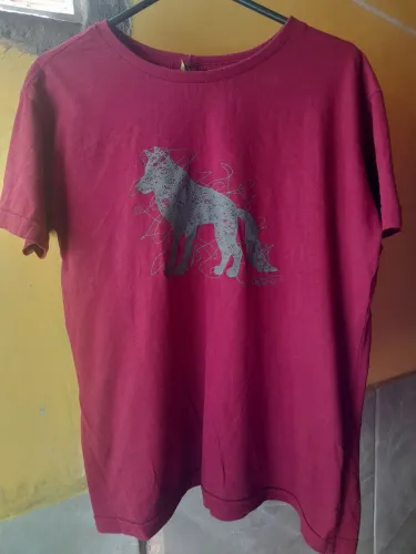 Camisa masculina