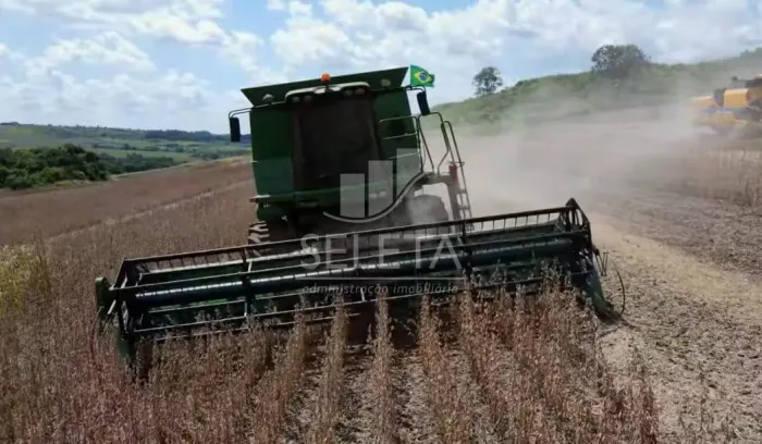 EXCELENTE OPORTUNIDADE DE INVESTIMENTO Fazenda Produtiva com Localização Privilegiada no P