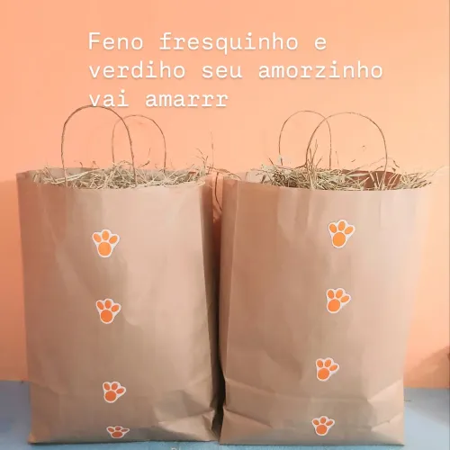 Feno