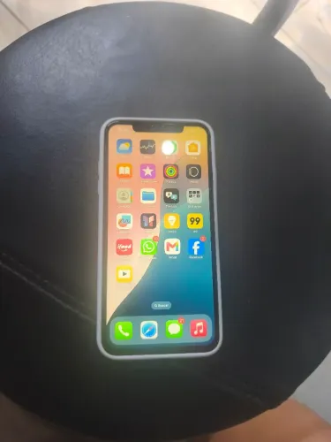 Xs max