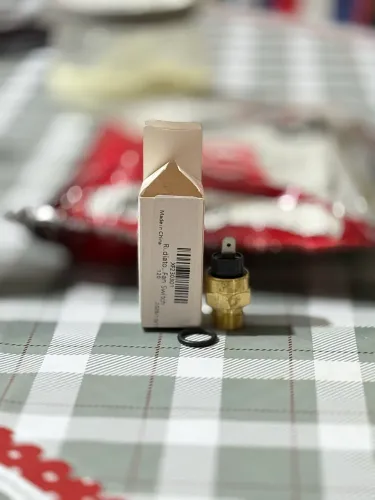 Cebolão da hornet