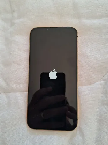 IPHONE 13 PRO MAX FOLHEADO A OURO