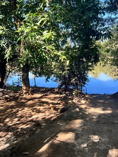 RANCHO À VENDA - OPORTUNIDADE IMPERDÍVEL!