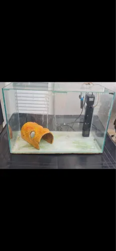 Vendo Aquário de 92 litros com bomba e filtro e aquecedor