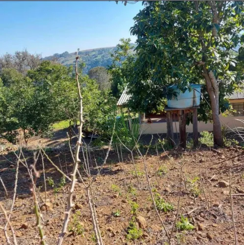 Venda de Terreno