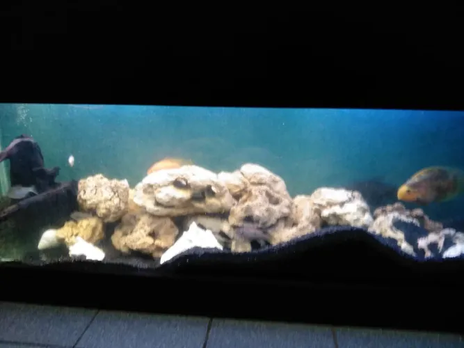 Aquário com sump