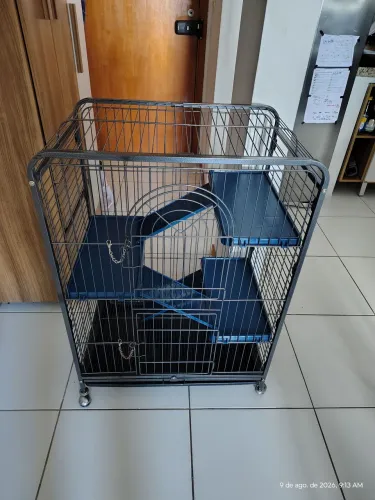 Viveiro Gaiola Grande Pets ou Aves