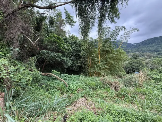 Terreno privilegiado no Condomínio Reserva do Itanhangá à venda - Rio de Janeiro