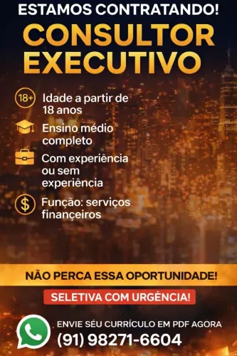 Consultor Executivo 