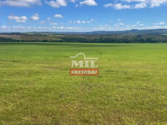 Fazenda Agrícola em Luziânia-GO. (57,4 Alqueires)