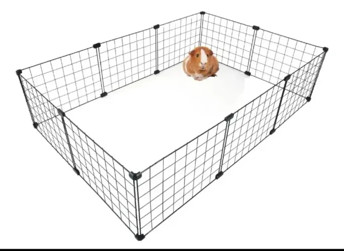 Cercado para porquinho da índia 
