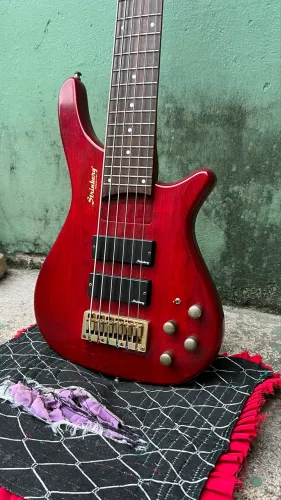 contrabaixo strinberg clb 25a