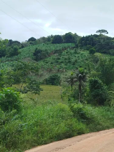 Terreno na zona rural de corte de pedra-Presidente Tancredo Neves. Meio hectare