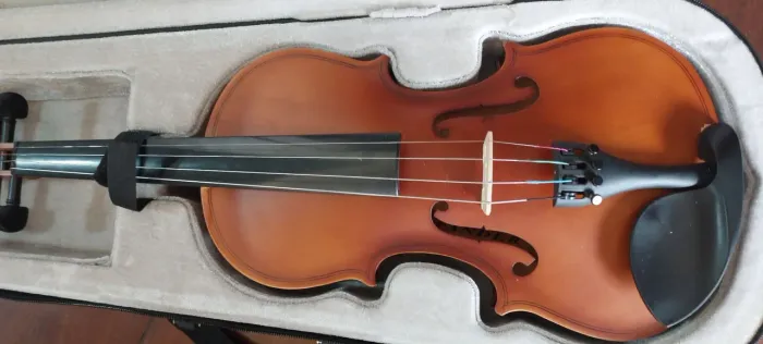 Violino 4 /4 Profissional Completo Com Case Rígido 