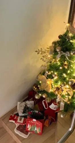 Árvore de Natal 1,20