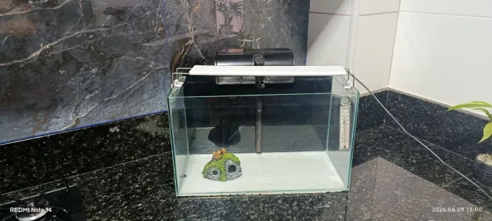 Aquário completo