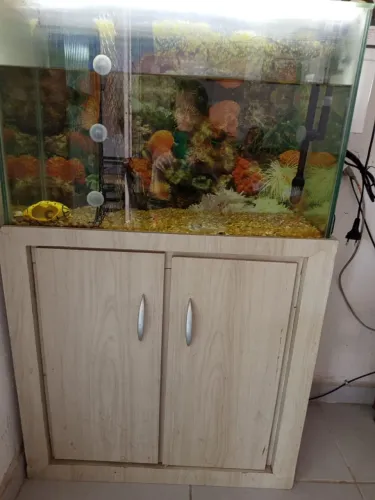 Aquário Completo
