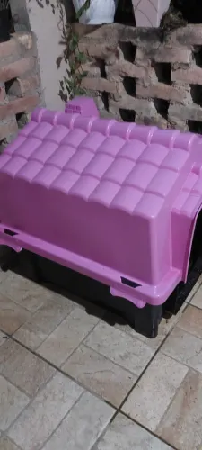 Casinha dog house evolution