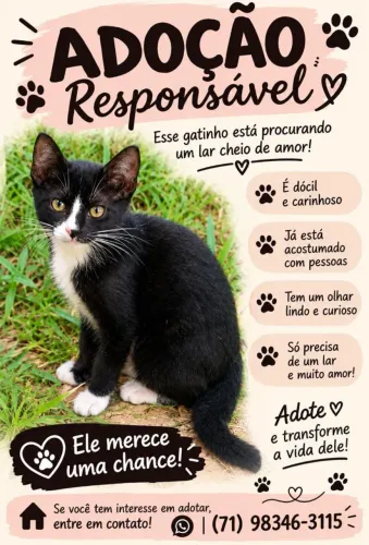 Adoção responsável