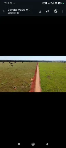 Fazenda de arrendamento Soja, 3 mil hec tudo em pasto