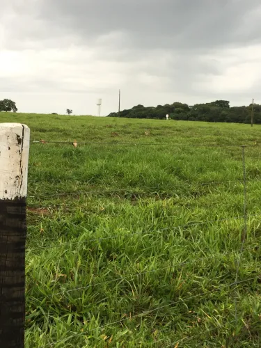 Chácara em Trindade 1,5 alqueires 