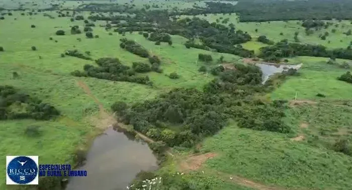FAZENDA À VENDA EM ARAGUAÇU TO | 450 ALQUEIRES | DUPLA APTIDÃO