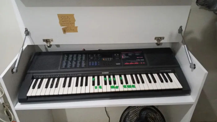 Teclado CASIO profissional