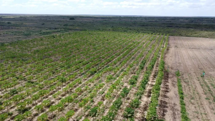 fazenda com 50 hectares na região de touros 100% desmatada e com 3 poço tubulares de alta
