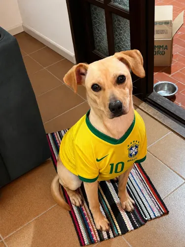 Doação 