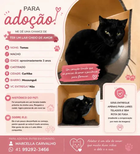 Doação responsável
