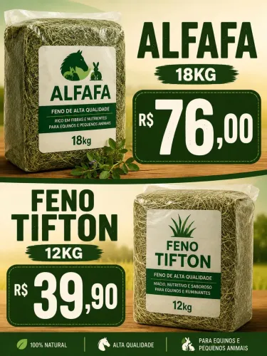 Feno Tifton, Alfafa